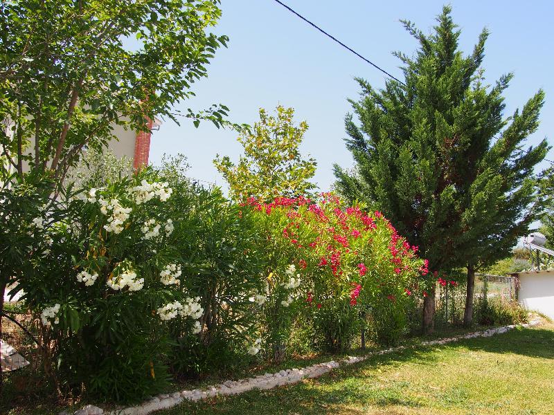 Villa Adonis With Private Pool By Lefkadastay Exterior photo